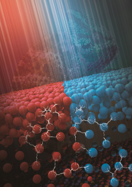 Novel ink composed of colourful microbeads adapts to the appearance of received light by light-driven separation.
 